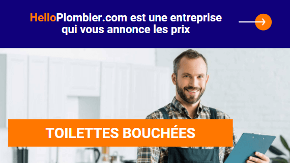 Toilettes bouchée prix